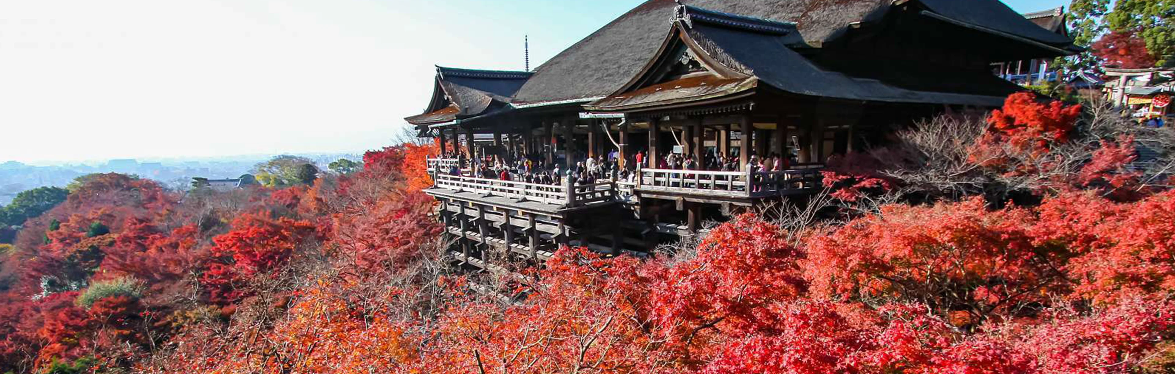 Immagine di Kyoto